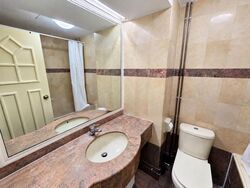 Jervois Lodge (D10), Condominium #633371771